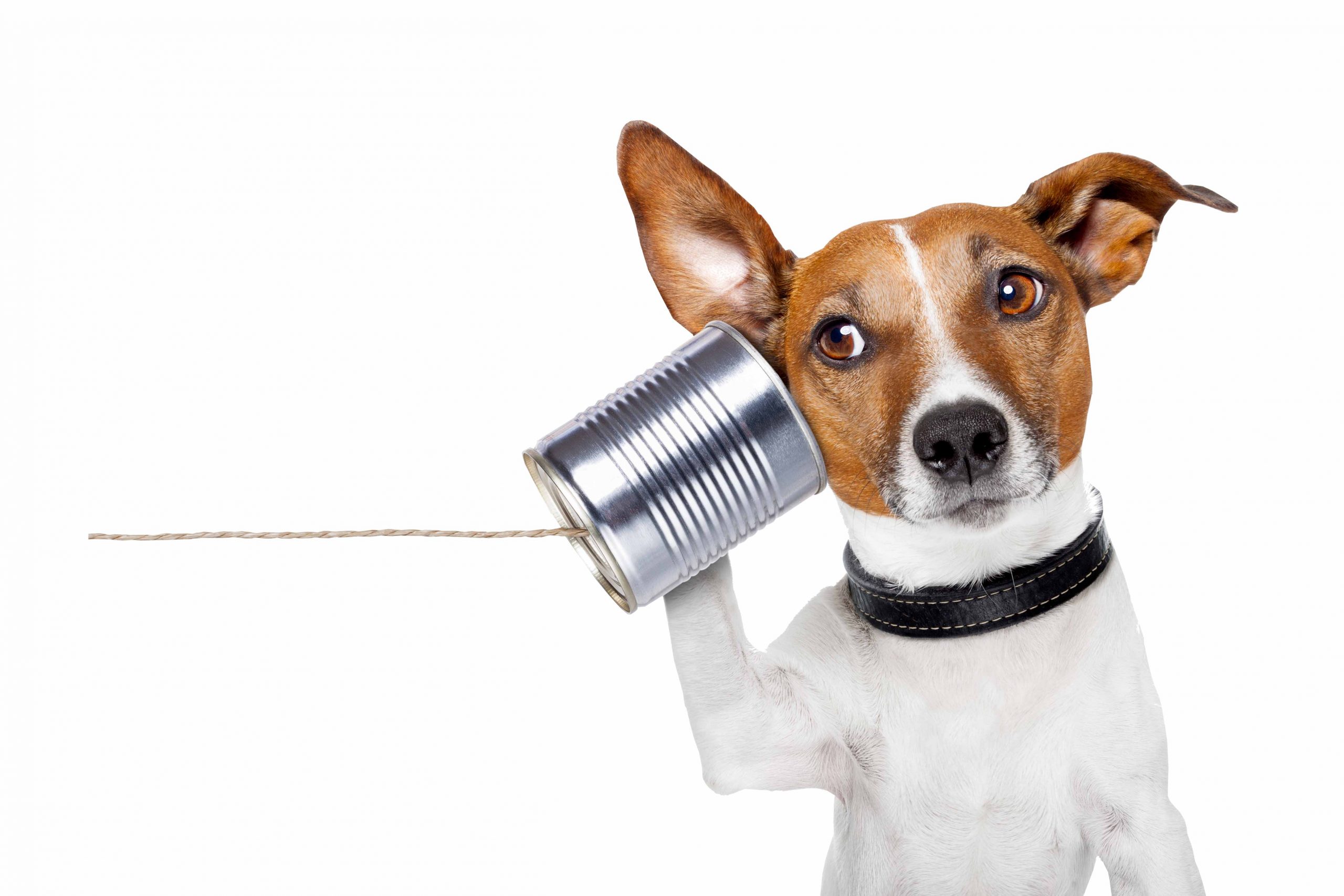 mascotte 4COMMA communicatie en marketing